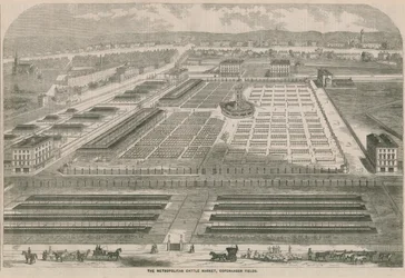 The Metropolitan Cattle Market, Copenhagen Fields, London