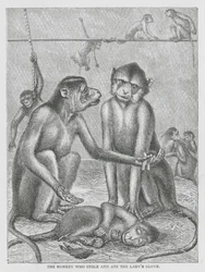 The Monkey Who Stole and Ate the Lady