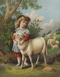 The Pet Lamb