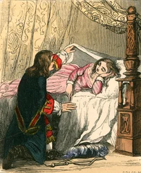 The Prince Breaks the Charm