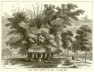 The Seven Sisters in 1830