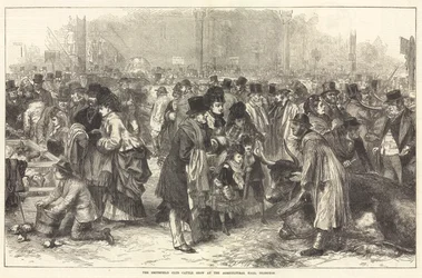 The Smithfield Club Cattle Show at the Agricultural Hall, Islington