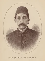 The Sultan of Turkey (engraving)