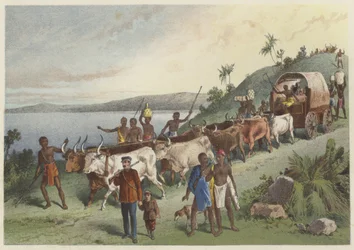 The Arrival at Lake Ngami