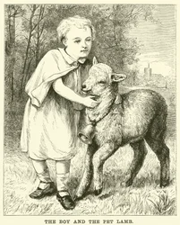 The Boy and the Pet Lamb