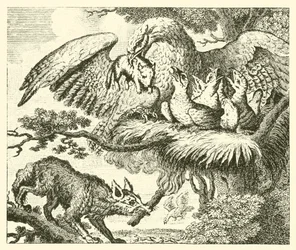 The Eagle and the Fox