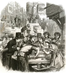 The First Day of Oysters