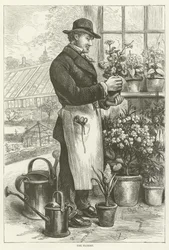 The Florist