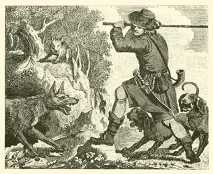 The Fox and the Wolf (engraving)
