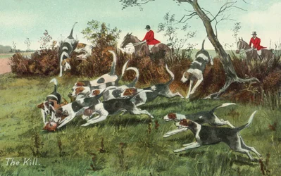 The Fox Hunt
