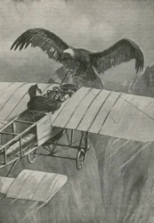 The King of the Air Meets an Invader