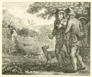 The lark and her young ones