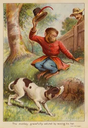 The monkey gracefully saluted by raising his hat