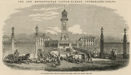The new Metropolitan Cattle Market, Copenhagen Fields