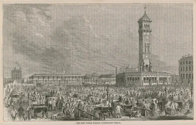 The new cattle market, Copenhagen Fields, London