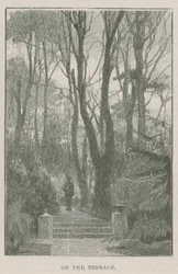 The new public park at Highgate: on the terrace