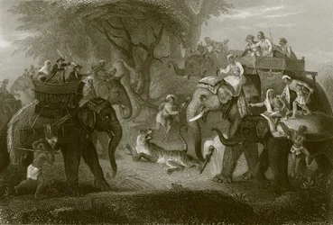 The Tiger Hunt