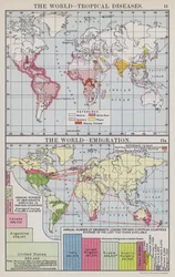 The World, Tropical Diseases, The World, Emigration