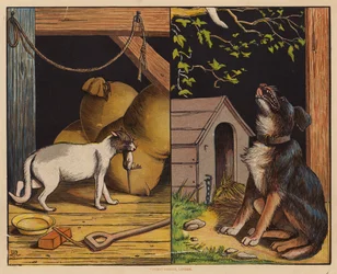 This Is The Cat; This Is The Dog