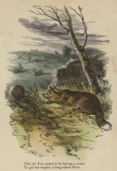 This sly Fox seems to be laying a snare, To get his supper, a long-eared Hare