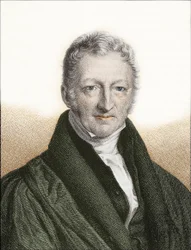 Thomas Robert Malthus (engraving)