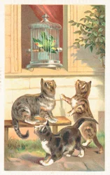 Three Cats Sitting Below a Window