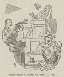 Throwing a Shoe at the Judge