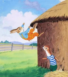 Tufty Falls from a Roof