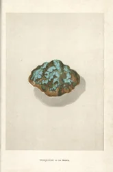 Turquoise in the Matrix, from Edwin Streeter