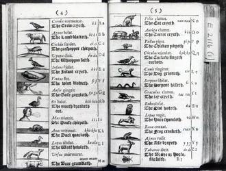 Two pages from Orbis Sensualium Pictus by Comenius, 1659
