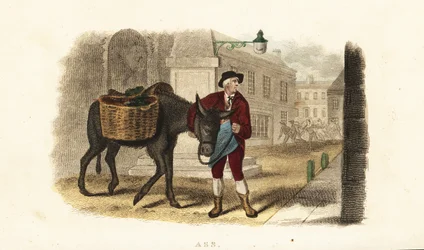 Unknown Image