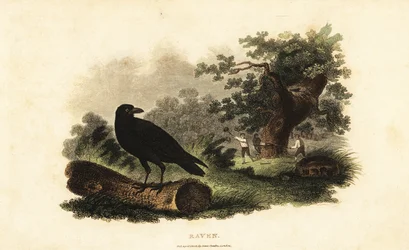 Unknown Image