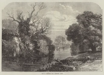 View in Tichborne Park, Alresford, Hants