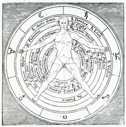 Vitruvian figure, from 