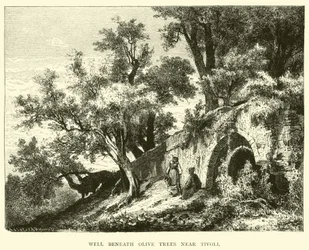Well beneath Olive trees near Tivoli