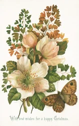 Wild Roses and Butterfly