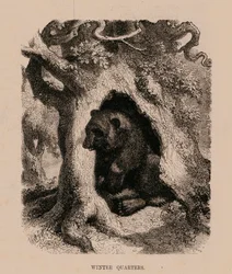 Winter Quarters