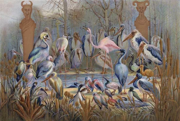 Wise or Otherwise, a study of birdlife