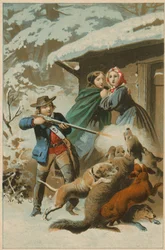 Wolf Being Attacked by Dogs as a Young Man Fires a Rifle
