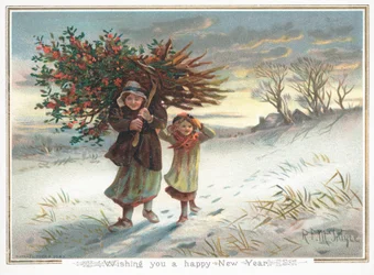 Woman carrying Holly Bush over shoulder