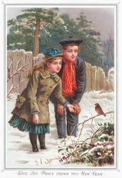 Young Couple looking at Robin