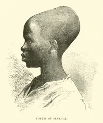 Youth of Senegal