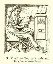 Youth Reading at a Scrinium