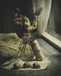 Moody Autumn Still Life