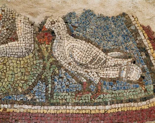 A dove. Mosaic from the slope houses in Ephesus, Turkey