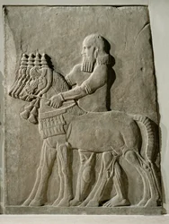 A Servant Leading the Royal Horses