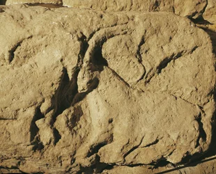 Battling Rams (Stone Relief)