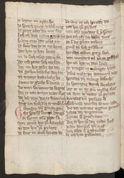 Full page: text