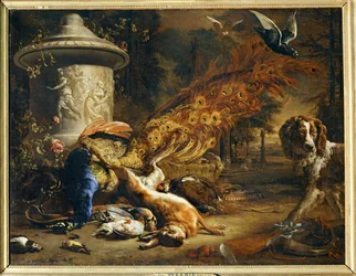 Still life with peacock and dog
