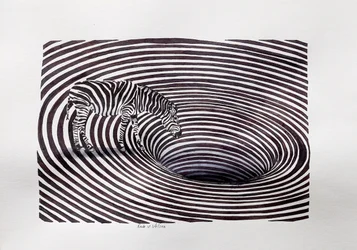 Zebra Vortex Illusion